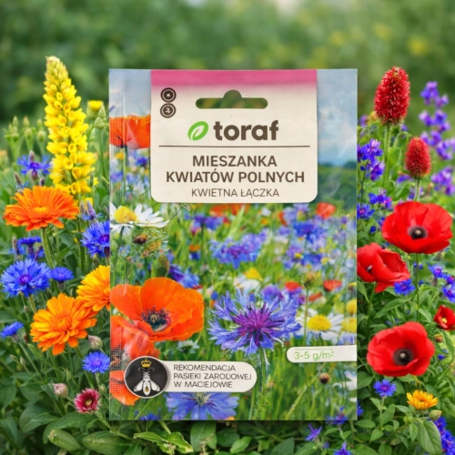 Mieszanka kwiatów polnych Kwietna Łączka 20g vis nasiona TORAF sklep rajogrodnika